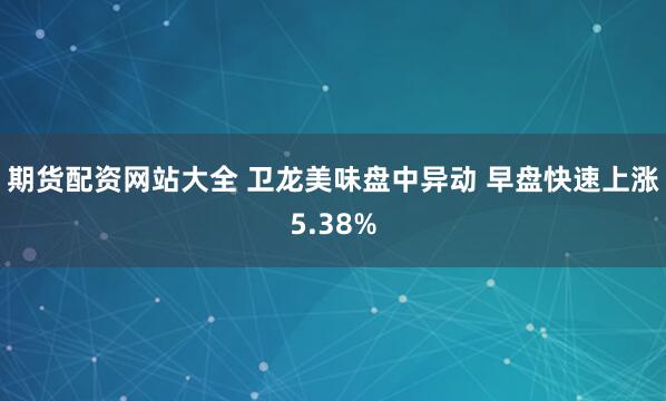 期货配资网站大全 卫龙美味盘中异动 早盘快速上涨5.38%