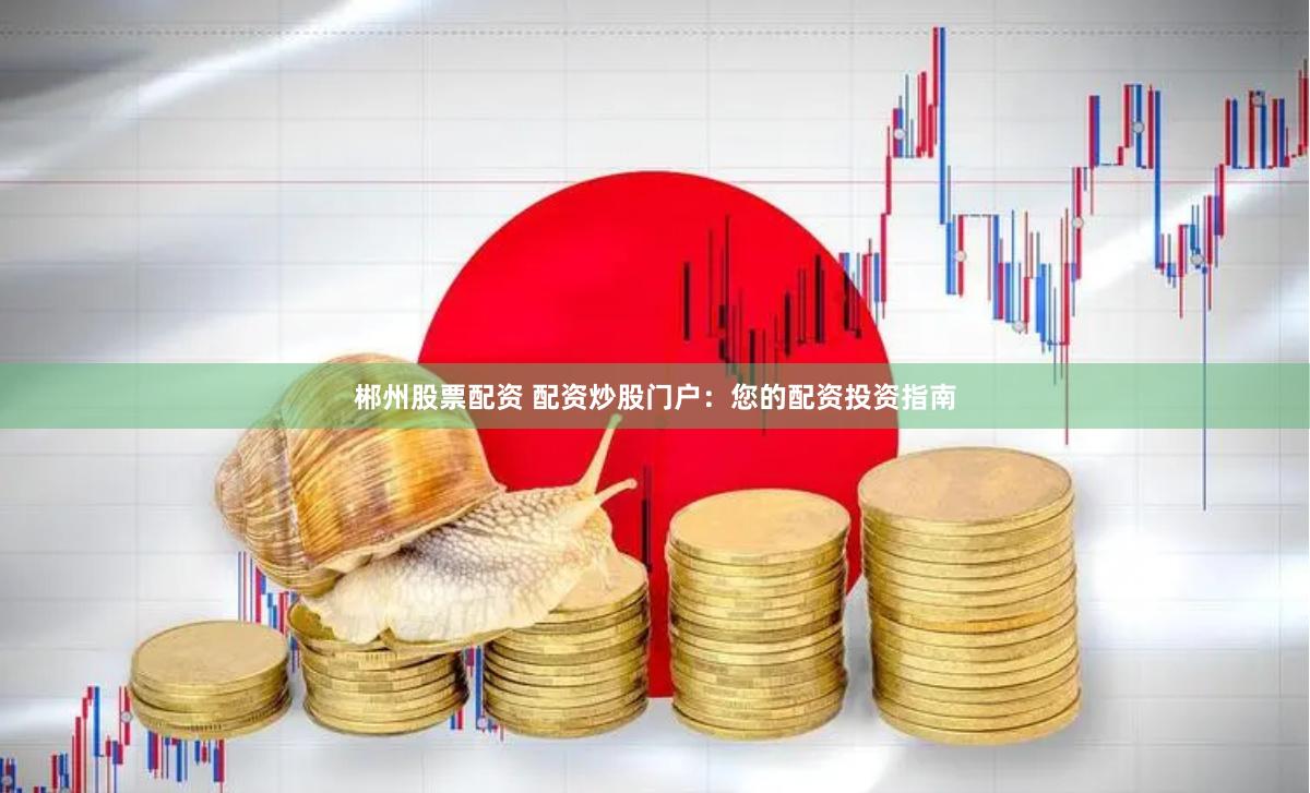 郴州股票配资 配资炒股门户：您的配资投资指南